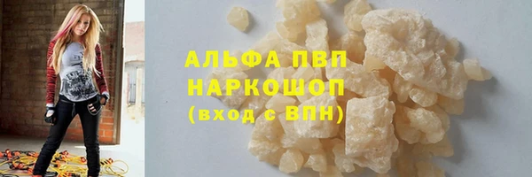 СК Зеленокумск