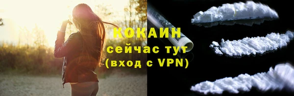 СК Зеленокумск