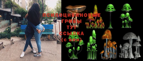 ПСИЛОЦИБИНОВЫЕ ГРИБЫ Зеленодольск