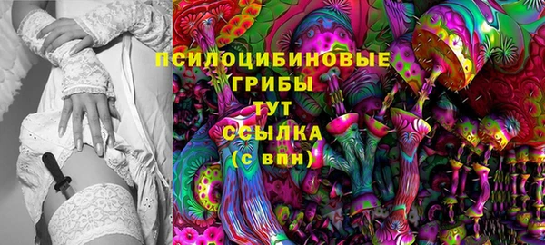ПСИЛОЦИБИНОВЫЕ ГРИБЫ Зеленодольск