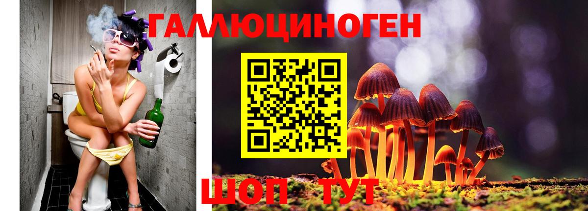 Псилоцибиновые грибы Psilocybe Ирбит