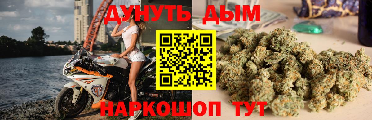 Каннабис OG Kush  Бошки марихуана планчик  Ирбит  Бошки марихуана семена  Вход с VPN 